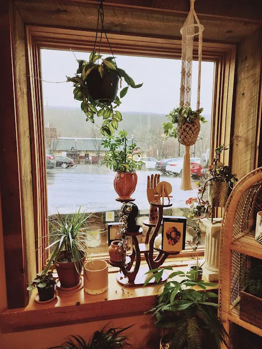 Hollow's Tattoo Studio & Art Gallery 2