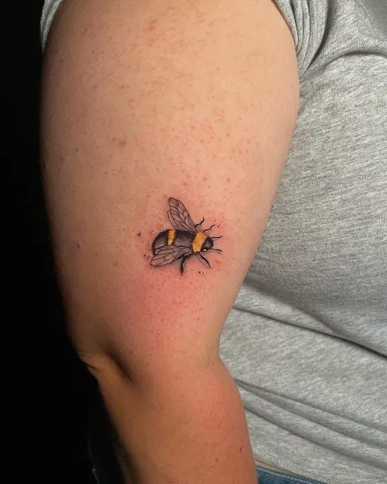 Xclusive Ink III 8