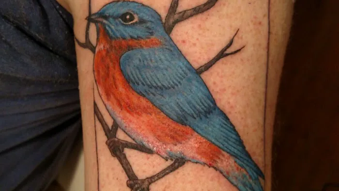 Ed Dempsey Tattoo Company 4