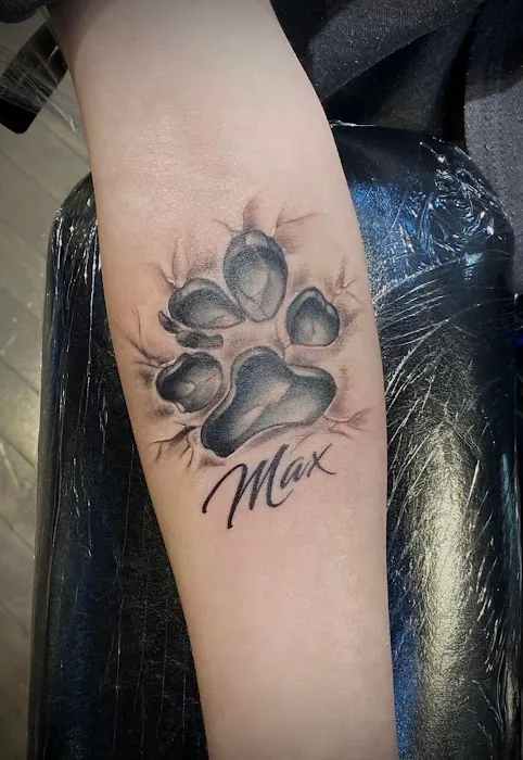 Satori Ink 7