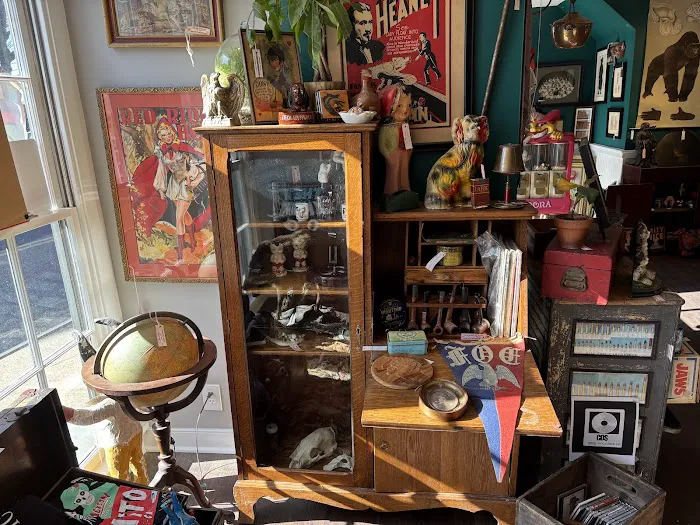 Mini mega electric gallery 2