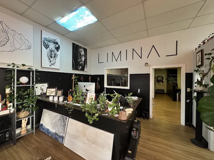 Liminal Ink and Art 2