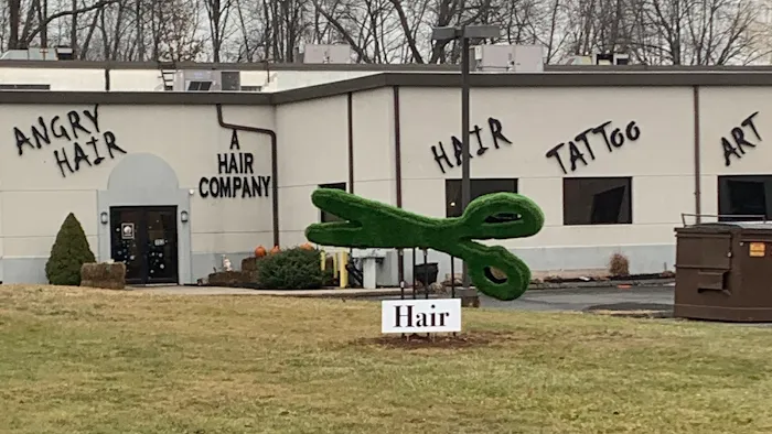 AngryHair 9