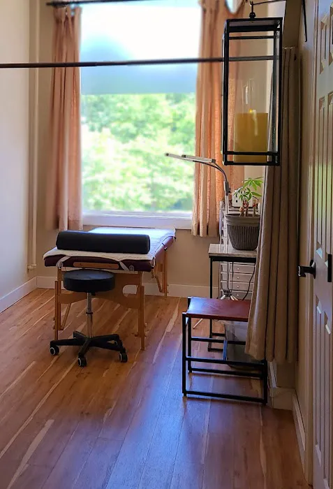 Chic Spa Microblading Academy- Microblading Nano Brows Ombre Eyebrows Eyeliner Eyelash Extensions Wax - Avon CT 1