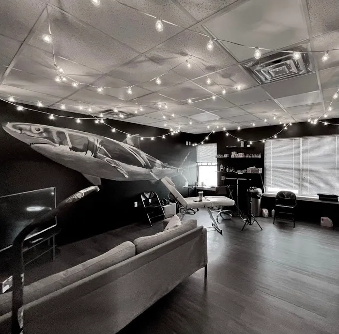 Black Shark Gallery 7