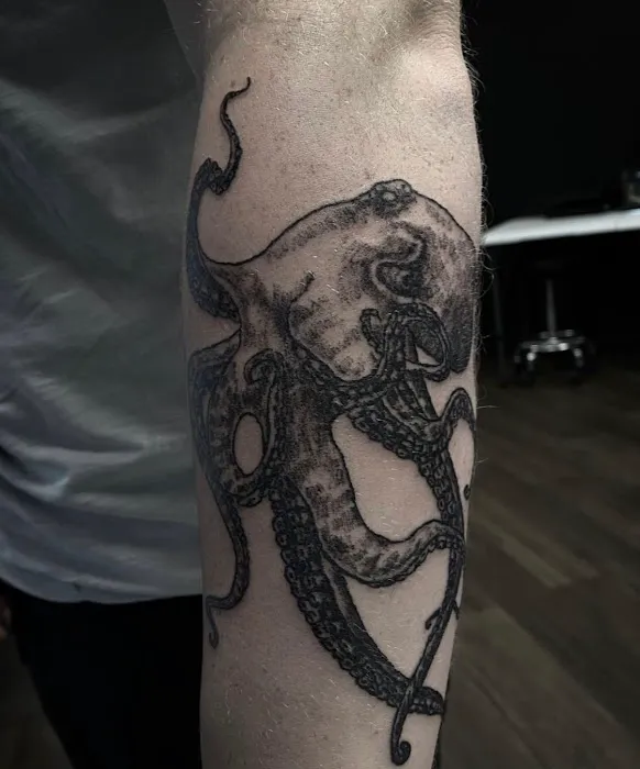 Black Shark Gallery 2