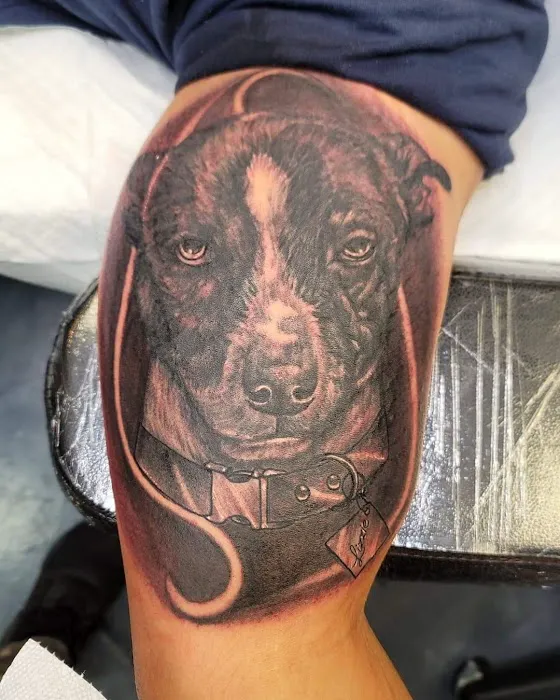 Alpha Ink Studio 8