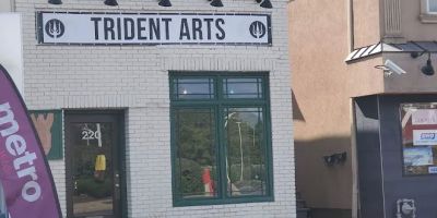 Trident Arts Tattoo and Art Gallery