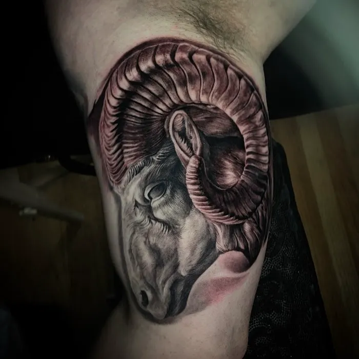 Vellum Art Collective Tattoo Studio 0