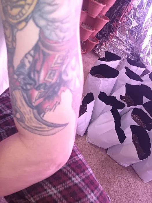 Valor Tattoo 6