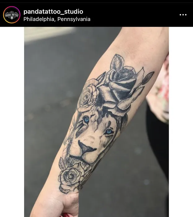 PANDA TATTOO STUDIO 0