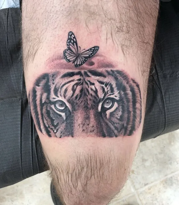 Mr Tattoo 5