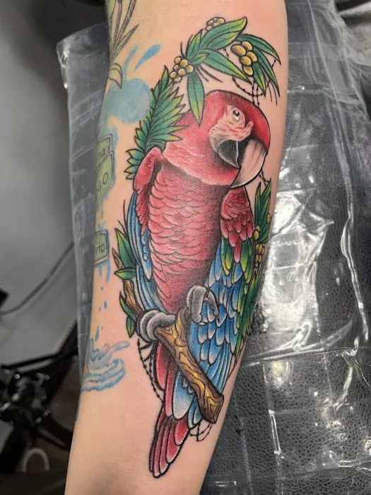 Supertattz Inkz 8