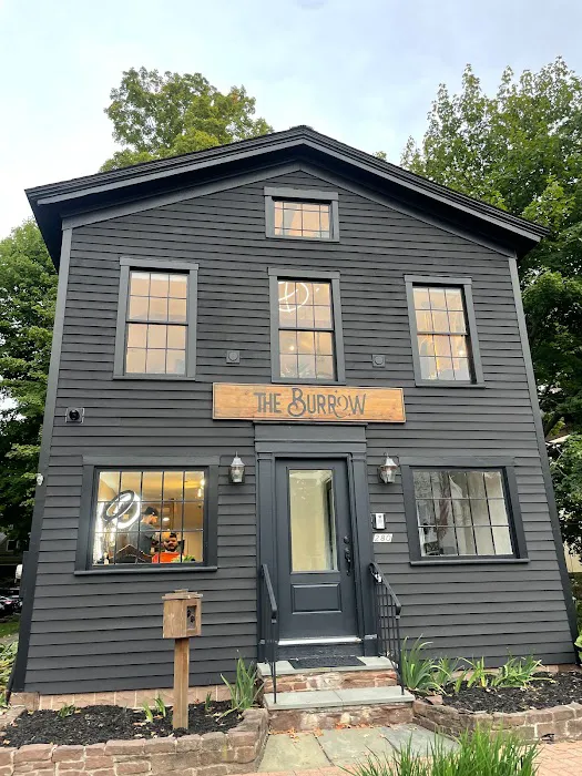 The Burrow 9
