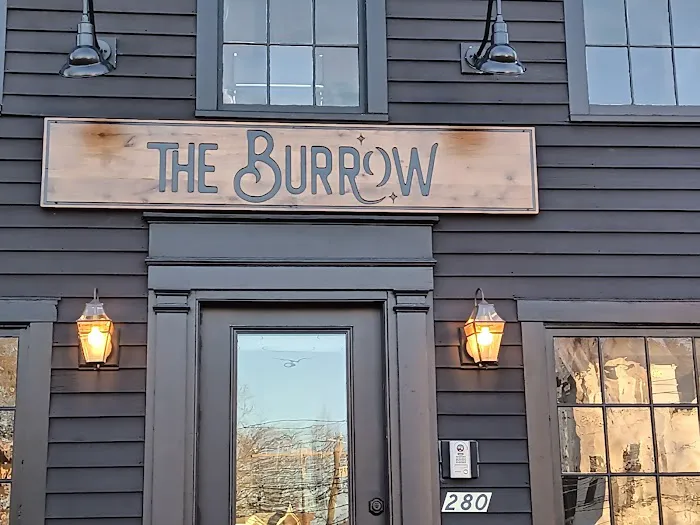 The Burrow 3