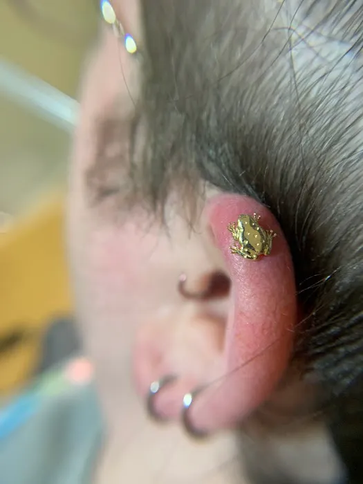Pierced by Amanda inside of Oculo Visitant Gallery 7