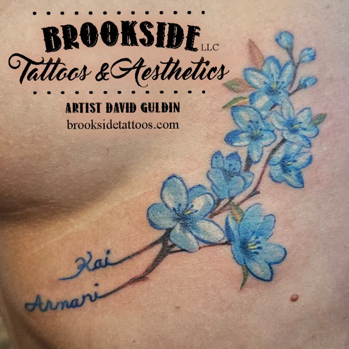 Brookside Tattoos & Aesthetics LLC 8