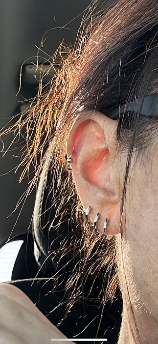 Exotix Body Piercing Studio 8