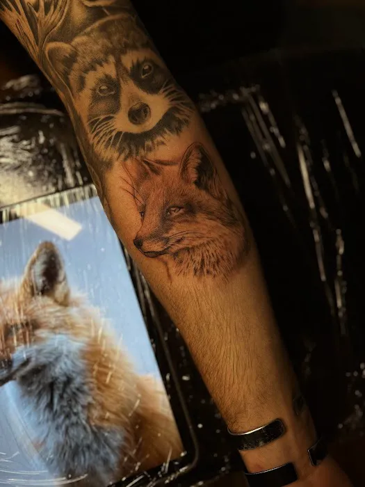 Wild Roots Tattoo and Art Gallery 2