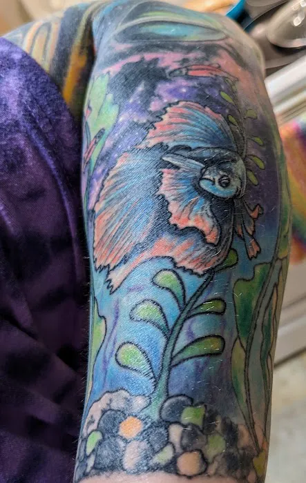 Wayback Tattoo Studio 5