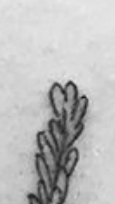 MOON SHEEN TATTOO 6