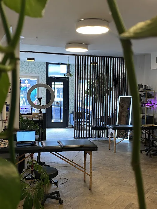 Nice Tattoo Parlor 1