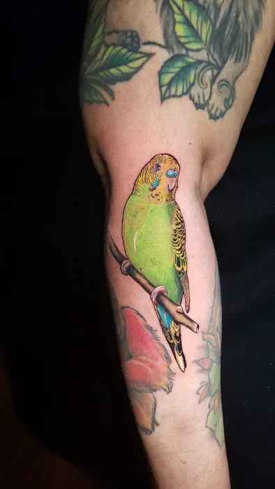 Evening Star Tattoo & Art Collective 6