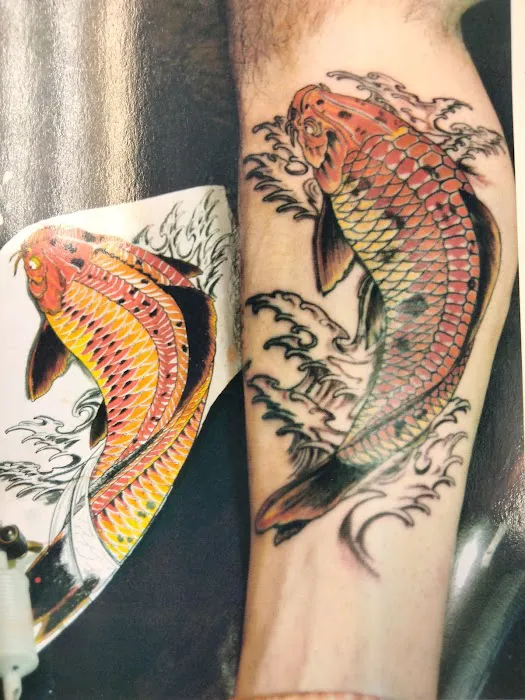 Groove Tattoo 5