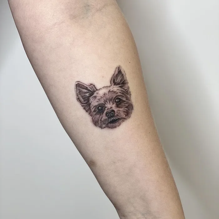 Public Tattoo 6
