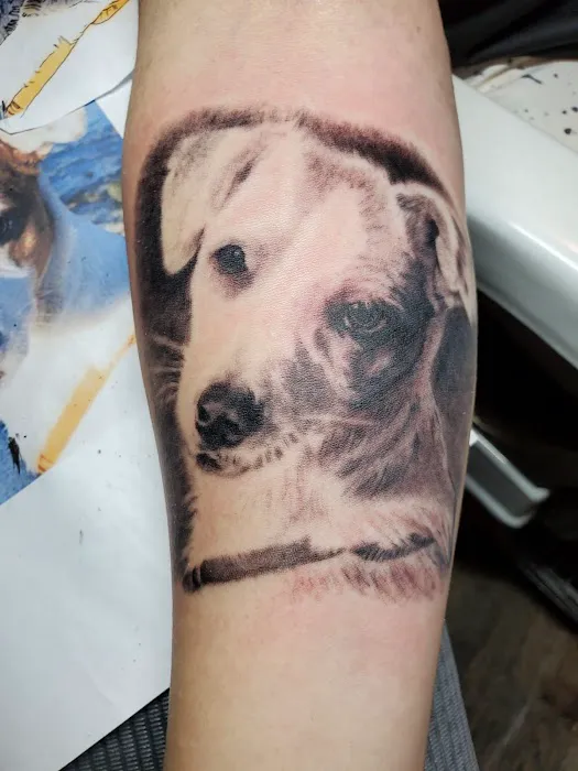 The Queens Ink Tattoo Shop 5
