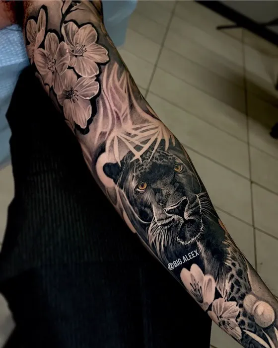 The Amazink Studio 5