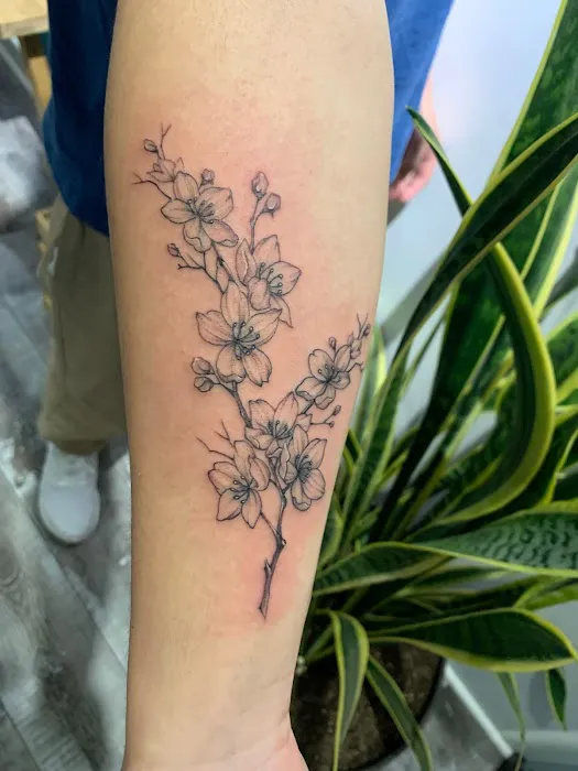 Crushink 3