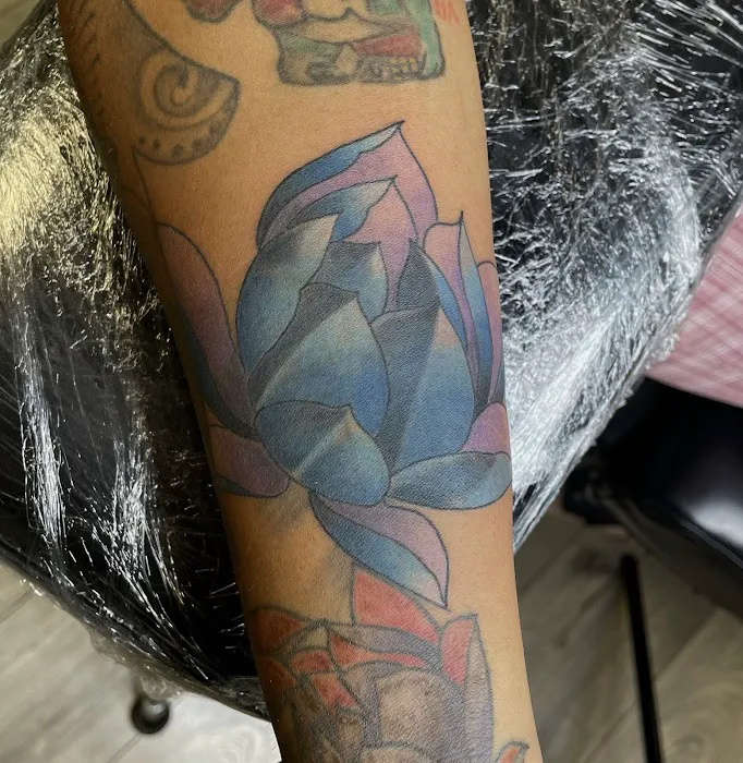 Art 2 Ink Studio 1