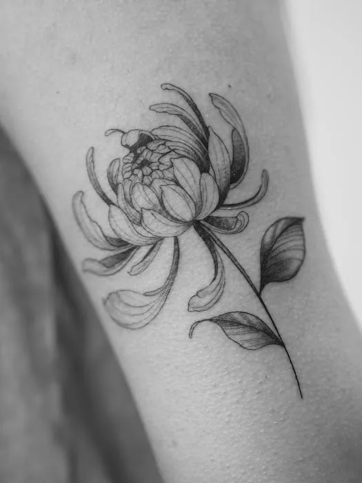 Sovereign Gallery & Tattoo Studio 3