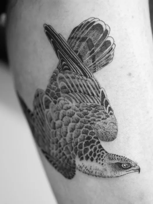 Sovereign Gallery & Tattoo Studio 8