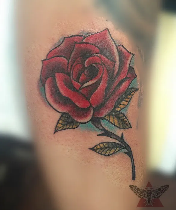 Hutton Street Tattoo 3