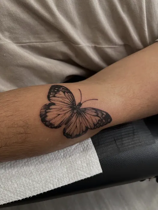 Solstice Ink 1