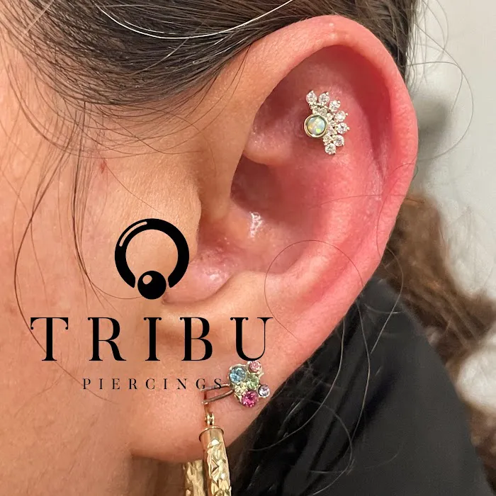 Tribu 5