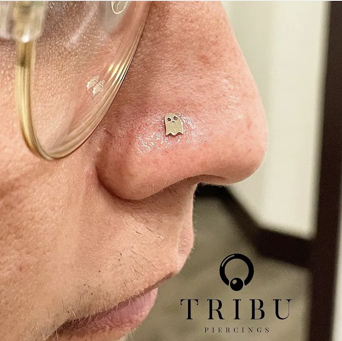 Tribu 7