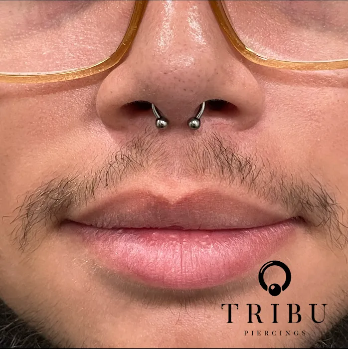 Tribu 8
