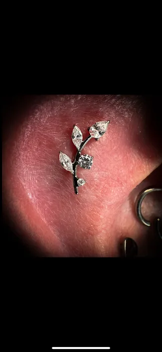Piercings By Dean 95 7