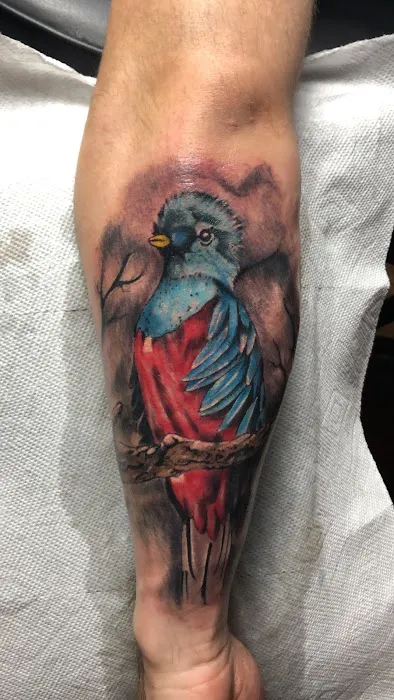 Capio tattoo studio 4