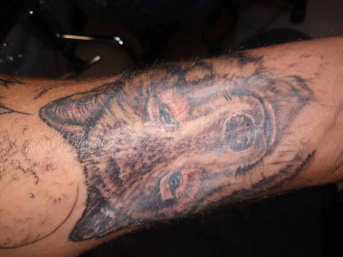 Eagle Tattoo Studio 0