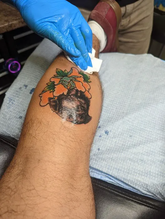 Euphoria Ink Tattoo Studio and Body piercing 3