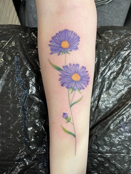 Aurora Tattoo Society 6