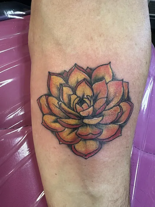 Ink By Tom 3