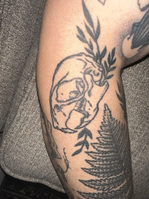 Mostly Harmless Tattoo Studio 1