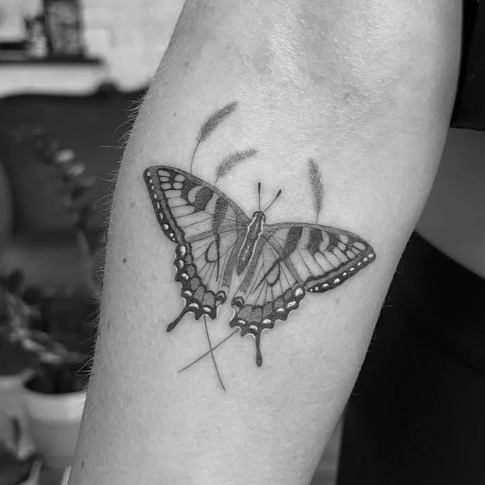 Crown and Feather Tattoo Co. 0