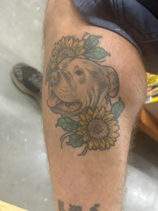 Pale Horse Tattoo Studio 1