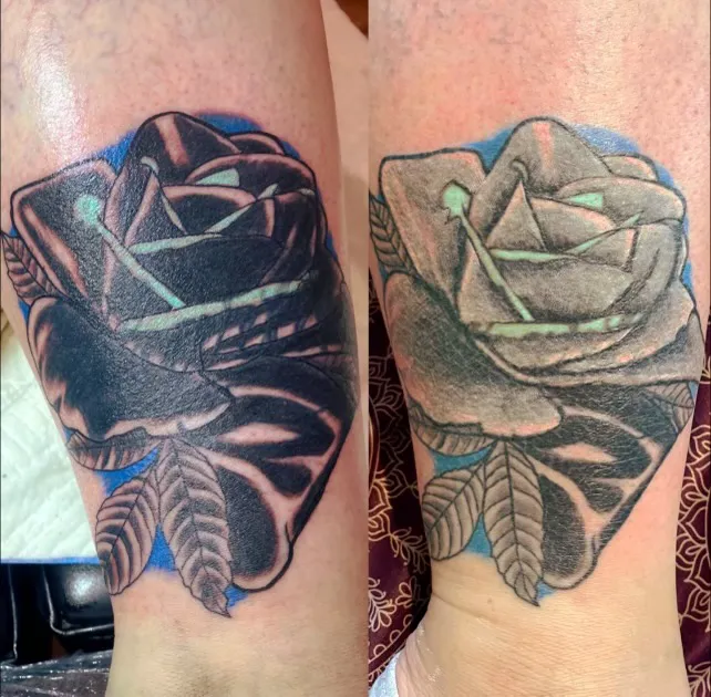 Raven Ink 0